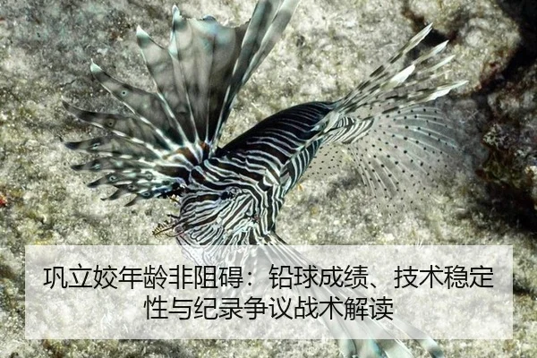 巩立姣年龄非阻碍：铅球成绩、技术稳定性与纪录争议战术解读