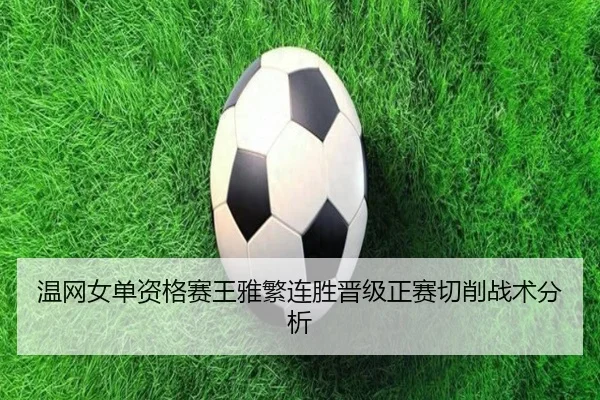 wen-wang-nv-dan-zi-ge-sai-wang-ya-fan-lian-sheng-jin-ji-zheng-sai-qie-xiao-zhan-shu-fen-xi-2-409.jpg