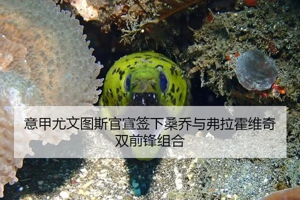 yi-jia-you-wen-tu-si-guan-xuan-qian-xia-sang-qiao-yu-fu-la-huo-wei-qi-shuang-qian-feng-zu-he-2-702.jpg