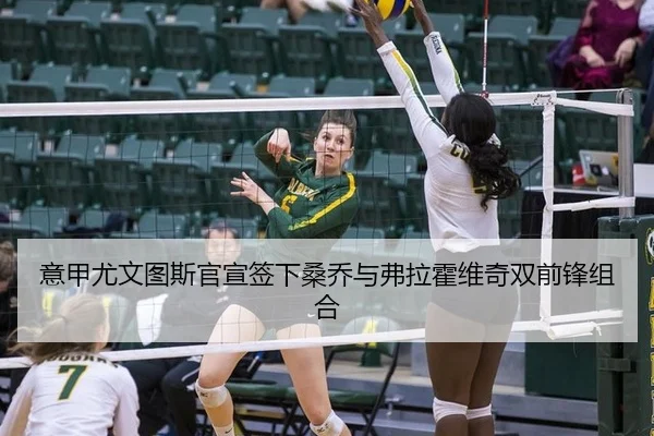 yi-jia-you-wen-tu-si-guan-xuan-qian-xia-sang-qiao-yu-fu-la-huo-wei-qi-shuang-qian-feng-zu-he-3-309.jpg