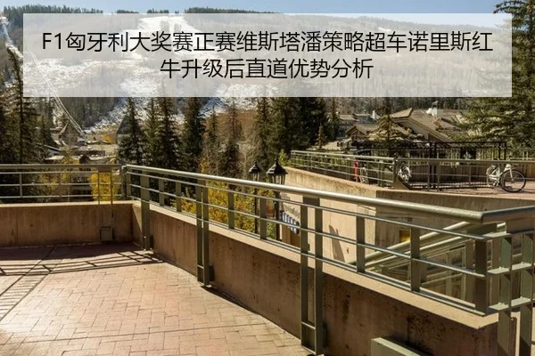 F1匈牙利大奖赛正赛维斯塔潘策略超车诺里斯红牛升级后直道优势分析